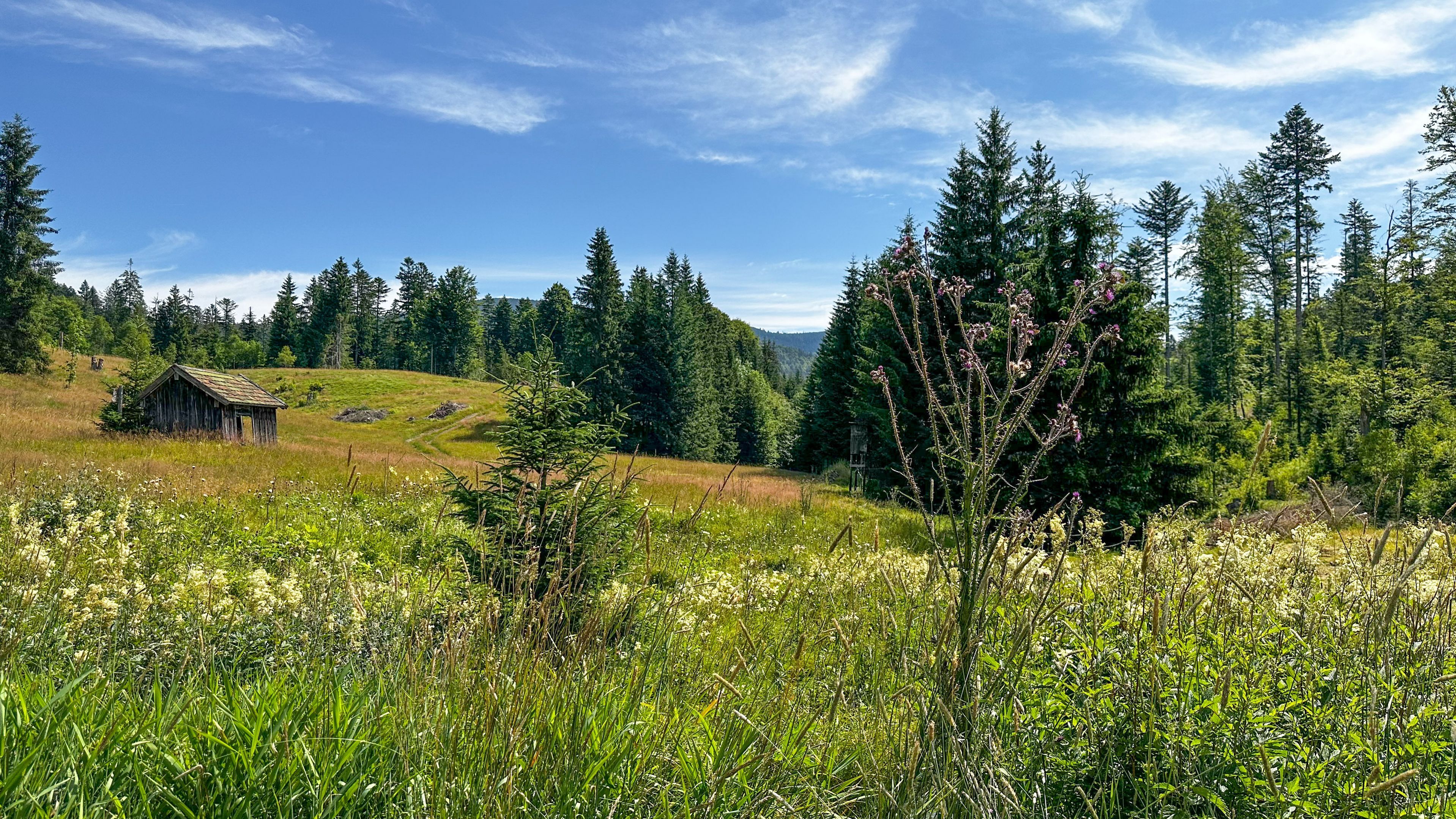 Blick über die Brennerin © E.Voit