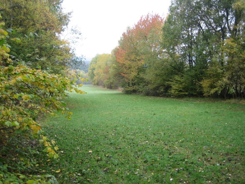 idylle an den Pfarrhecken